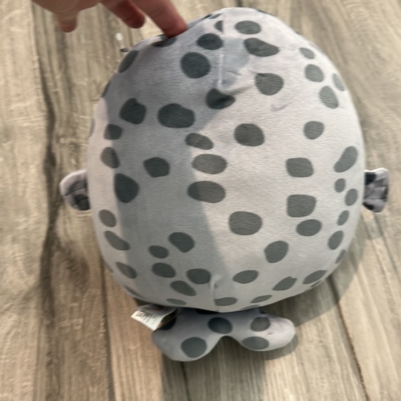 Squishmallow Odile a Seal! New with tags - Picture 3 of 3